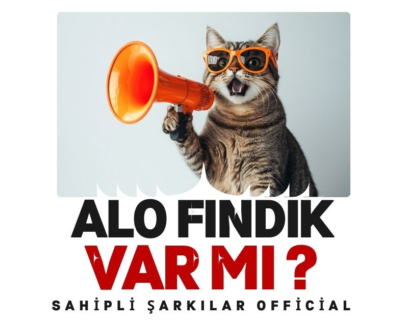 alo fındık var mı - sahipli şarkılar official